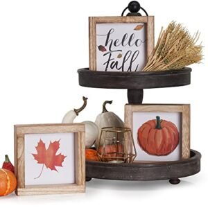 Beautiful Farmhouse Tiered Tray Decor Set - Interchangeable Year Round Seasonal & Holiday Decoration Bundle Incl. Wooden 3 Frames - The Perfect Fall & Christmas Wall Decor for Your Home
