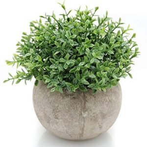 Velener Mini Plastic Artificial Plants Benn Grass in Pot Bonsai, Faux Plants, Fake Grass Home Decor Accents for Living Room, Kitchen, Bedroom and Office, Green…