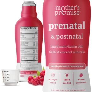 Multivitamínico prenatal y posnatal para mujeres | Vitaminas prenatales líquidas sin azúcar para mujeres con folato, colina y frutas orgánicas para preconcepción, embarazo y lactancia | Vegano y sin OMG
