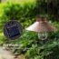 2Pack Solar Metal Hanging Lantern with Shepherd Hook Outdoor Led Garden Lights Brushed Copper
