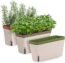 Amazing Creation Window Herb Planter Box Rectangular Self Watering Indoor Garden for Kitchens Grow Plants, Flowers or Succulents, Large Water Reservoir | Window Sill Planters Indoor | Herb Pots 3 Pack