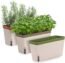 Amazing Creation Window Herb Planter Box Rectangular Self Watering Indoor Garden for Kitchens Grow Plants, Flowers or Succulents, Large Water Reservoir | Window Sill Planters Indoor | Herb Pots 3 Pack
