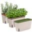 Amazing Creation Window Herb Planter Box Rectangular Self Watering Indoor Garden for Kitchens Grow Plants, Flowers or Succulents, Large Water Reservoir | Window Sill Planters Indoor | Herb Pots 3 Pack