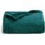 Bedsure Fleece Blanket Throw Blanket Teal - 300GSM Throw Blankets for Couch, Sofa, Bed, Soft Lightweight Plush Cozy Blankets and Throws for Toddlers, Kids