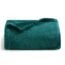 Bedsure Fleece Blanket Throw Blanket Teal - 300GSM Throw Blankets for Couch, Sofa, Bed, Soft Lightweight Plush Cozy Blankets and Throws for Toddlers, Kids