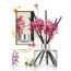 COCODOR Preserved Real Flower Reed Diffuser / Pure Cotton / 6.7oz(200ml) / 1 Pack / Reed Diffuser Set, Oil Diffuser & Reed Diffuser Sticks, Home Decor & Office Decor, Fragrance and Gifts