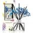 COCODOR Preserved Real Flower Reed Diffuser / Pure Cotton / 6.7oz(200ml) / 1 Pack / Reed Diffuser Set, Oil Diffuser & Reed Diffuser Sticks, Home Decor & Office Decor, Fragrance and Gifts