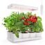 GrowLED LED Indoor Garden, Herb Garden, Kitchen Garden, Height Adjustable, 20W Grow Light, Automatic Timer, Ideal for Plant Grow Novice Or Enthusiasts, Various Plants, DIY Decoration, White