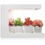 GrowLED LED Indoor Garden, Herb Garden, Kitchen Garden, Height Adjustable, 20W Grow Light, Automatic Timer, Ideal for Plant Grow Novice Or Enthusiasts, Various Plants, DIY Decoration, White