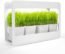 GrowLED Plant Grow Light LED Indoor Garden Light, Kitchen Garden with Timer Function, 24V Low Safe Voltage, Ideal for Plant Grow Novice Or Enthusiasts, Various Plants, DIY Decoration, White Grow Light