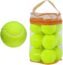 Oeab 12 Pack Tennis Balls 2.5