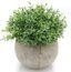 Velener Mini Plastic Artificial Plants Benn Grass in Pot Bonsai, Faux Plants, Fake Grass Home Decor Accents for Living Room, Kitchen, Bedroom and Office, Green…