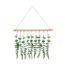 Bathroom Decor Artificial Eucalyptus Wall Hanging Decor-Fake Eucalyptus Leaves Greenery Farmhouse Rustic Wall Hanging for Wedding，Bedroom，Kitchen，Nursery,Party Boho Home Decorations（Green）