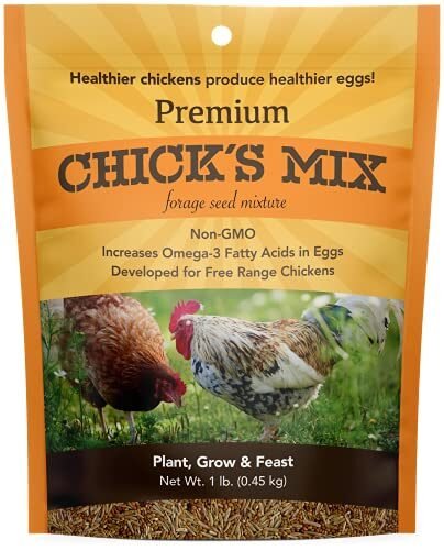Barenbrug Mezcla de semillas de forraje premium Free Range Chicks, 1 libra