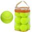 Oeab 12 Pack Tennis Balls 2.5