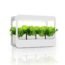GrowLED Plant Grow Light LED Indoor Garden Light, Kitchen Garden with Timer Function, 24V Low Safe Voltage, Ideal for Plant Grow Novice Or Enthusiasts, Various Plants, DIY Decoration, White Grow Light