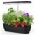 Diivoo – Jardín de hierbas para interiores, sistema de cultivo hidropónico de 12 cápsulas