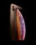 Apple iPhone XS, 64GB, Silver - Unlocked (Renewed)