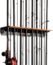 KastKing Patented V15 Vertical Fishing Rod Holder – Wall Mounted Fishing Rod Rack, Store 15 Rods or Fishing Rod Combos in 18 Inches, Great Fishing Pole Holder and Rack