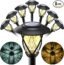LeiDrail 8 Pack Solar Pathway Lights Outdoor, Solar Walkway Lights Waterproof Warm White Landscape Lighting Decoration for Lawn, Patio, Yard, Garden, Walkway