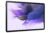 Samsung Galaxy Tab S7 FE 2021 Tablet Android con pantalla de 12.4 pulgadas