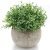 Velener – césped artificial pequeño de plástico verde con macetas para decoración