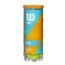 WILSON Sporting Goods Profile All Court Tennis Balls - Single Can (3 Balls), Yellow, WRT102200
