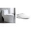WOODBRIDGE Cotton White T-0019 Toilet